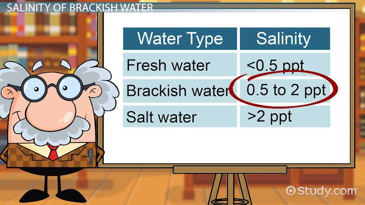 Brackish Water